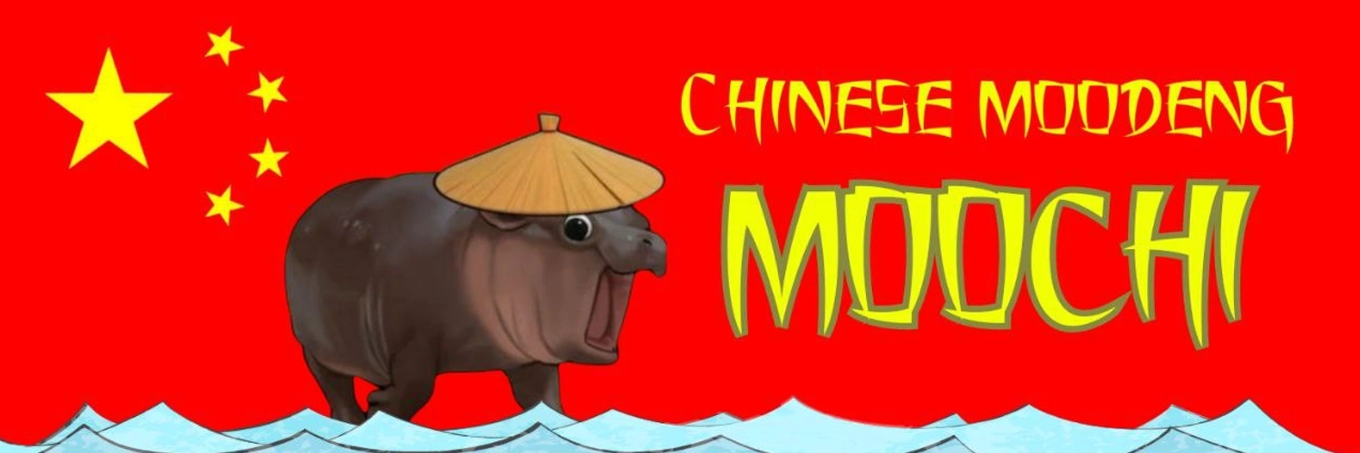 MOOCHI banner